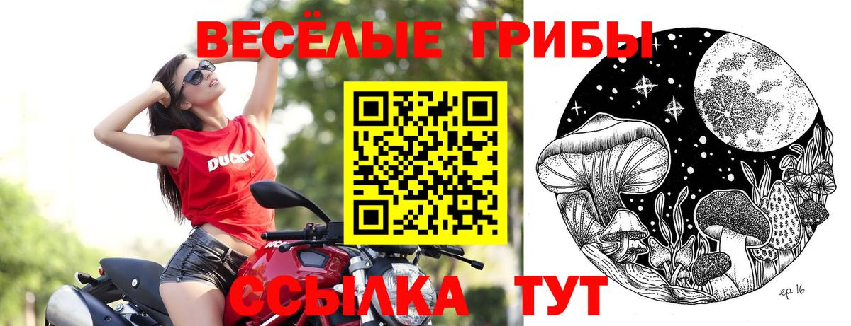 Галлюциногенные грибы Psilocybine cubensis Чебоксары